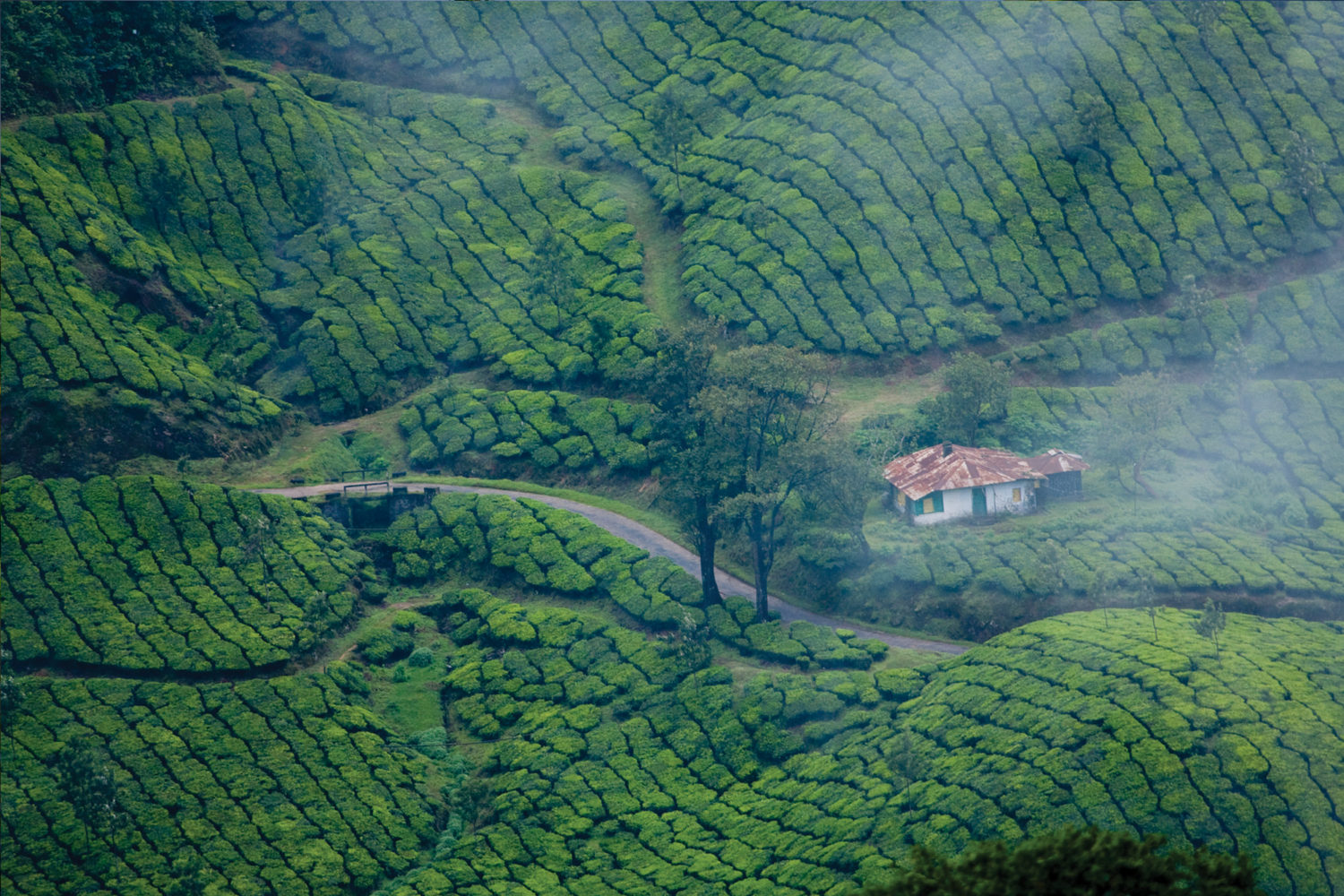family tour packages in kerala