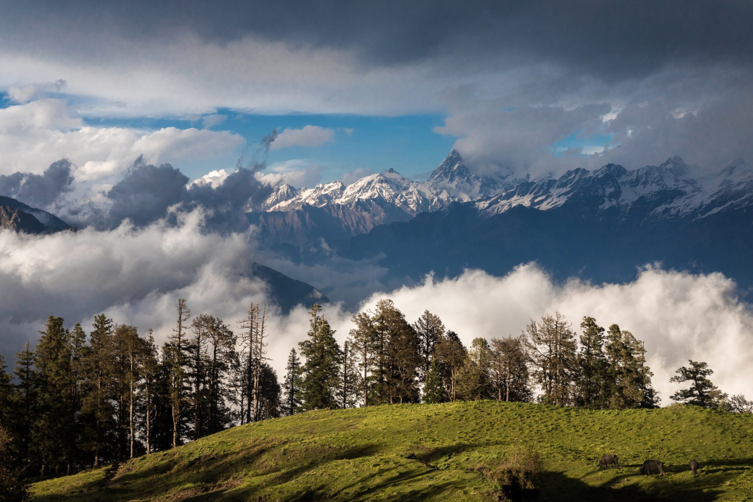 uttarakhand delights tour bundle