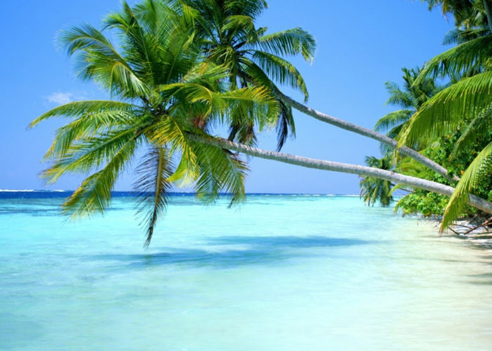 book tour packages online